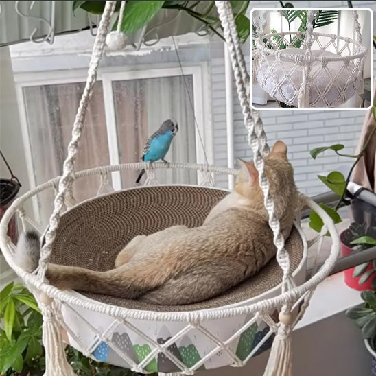 hamac chat confort