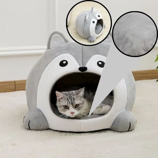 Maison chat bien ĂȘtre