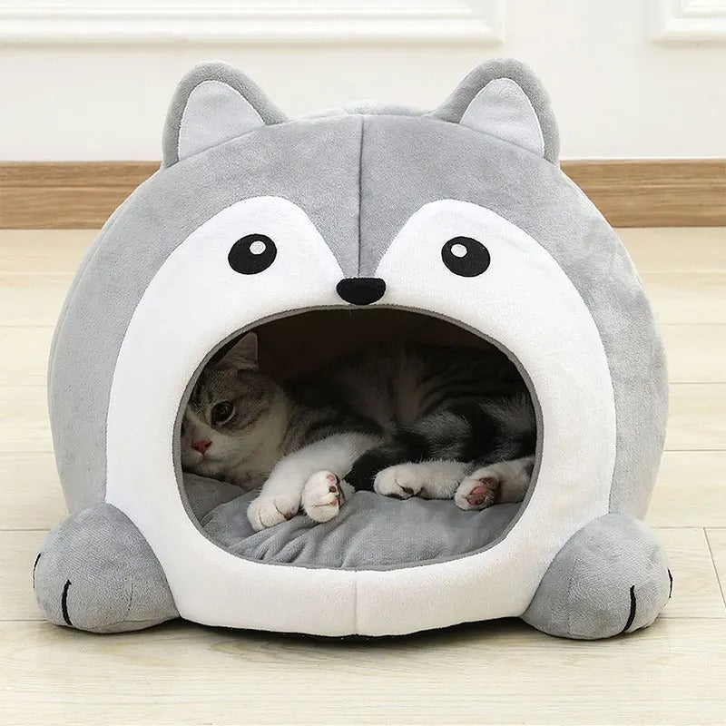 Maison chat bien ĂȘtre