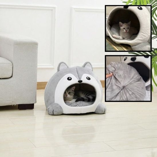 Maison chat bien ĂȘtre