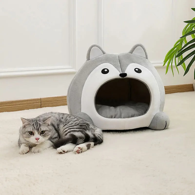 Maison chat bien ĂȘtre