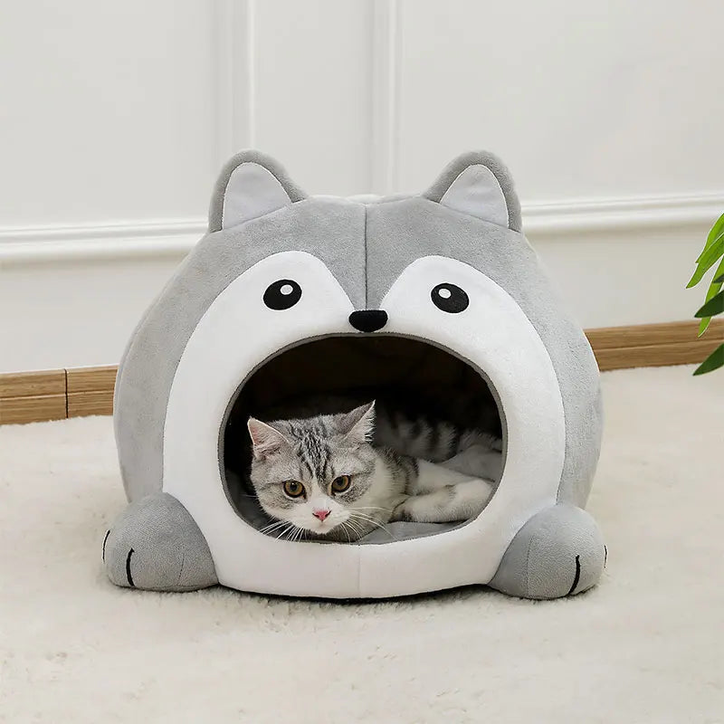 Maison chat bien ĂȘtre