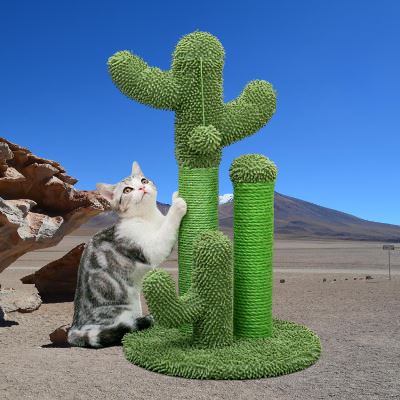 CactusScratcher™ - chatoutmimi