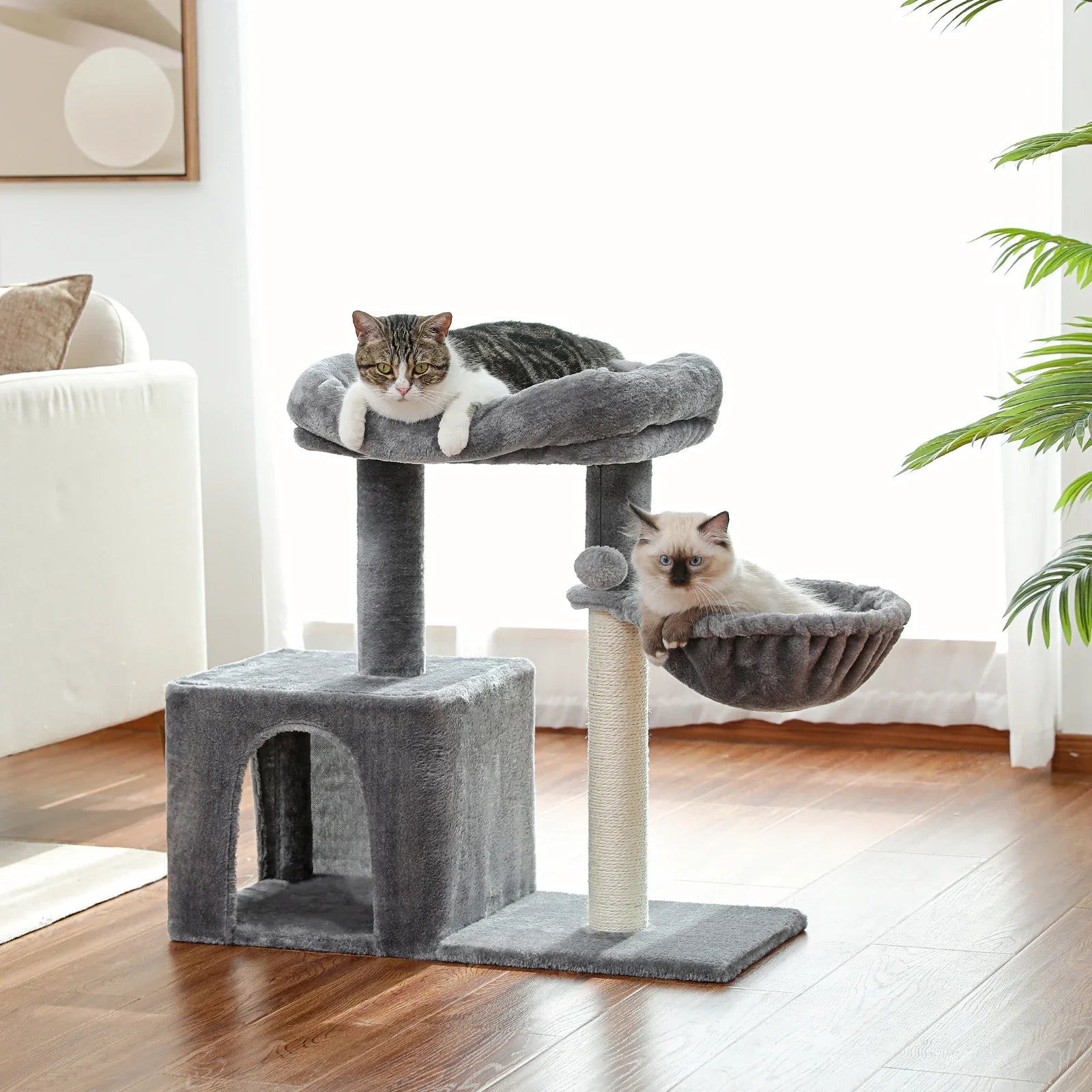 CatCondo™ - Hamac - chatoutmimi