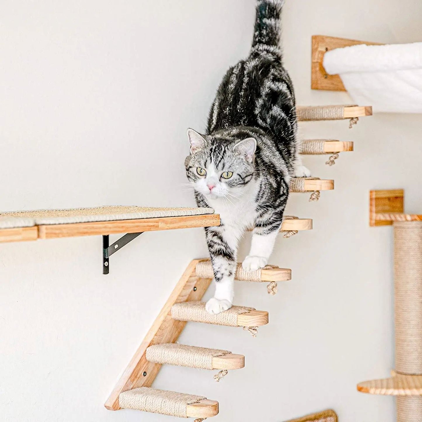 ClimbCat™ - Escalier - chatoutmimi