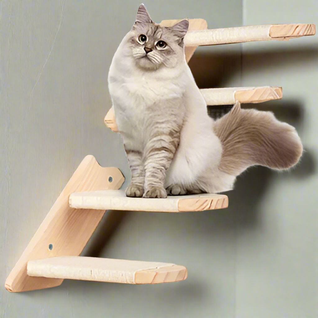 ClimbCat™ - Escalier - chatoutmimi