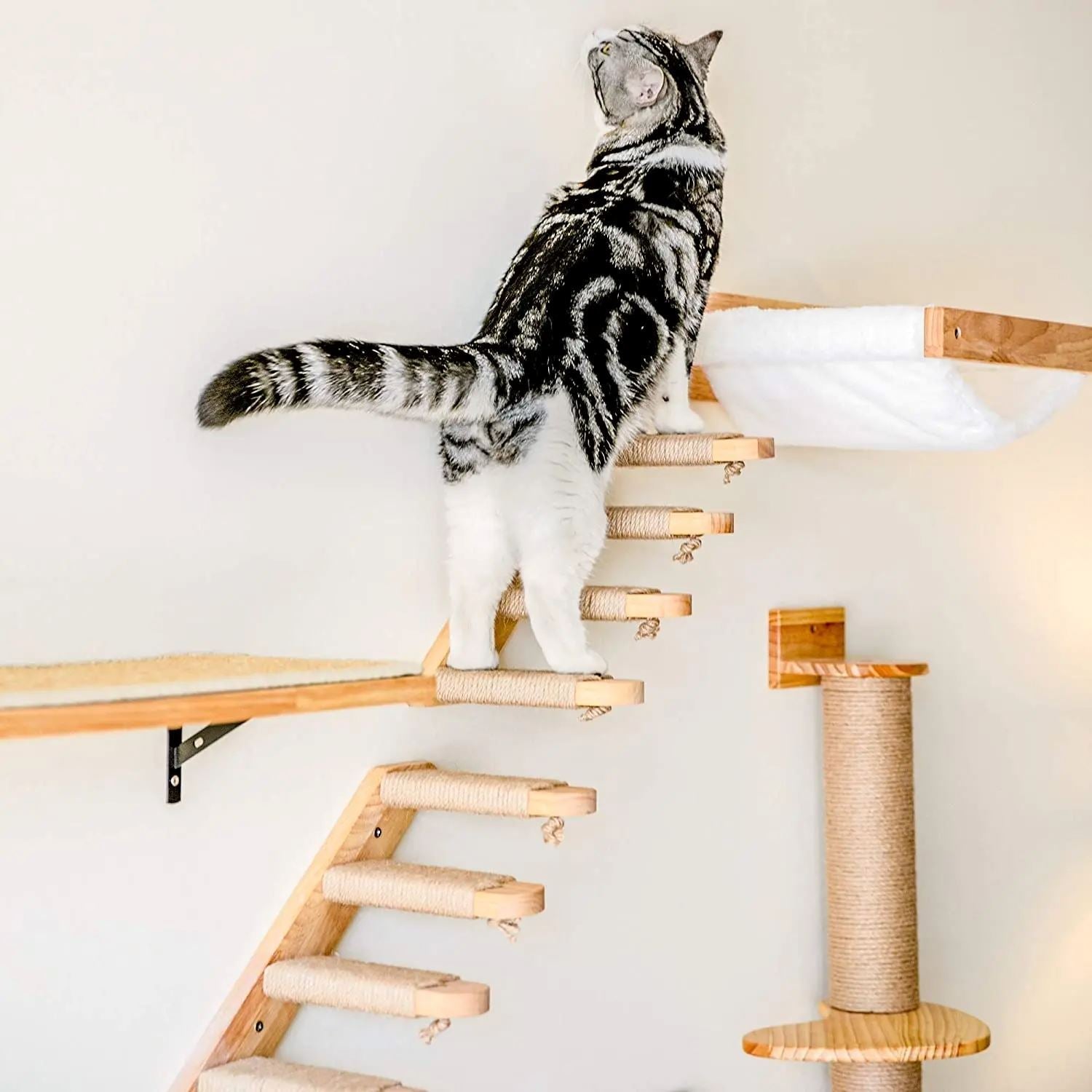 ClimbCat™ - Escalier - chatoutmimi