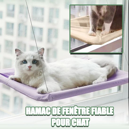 Hamac chat - chatoutmimi