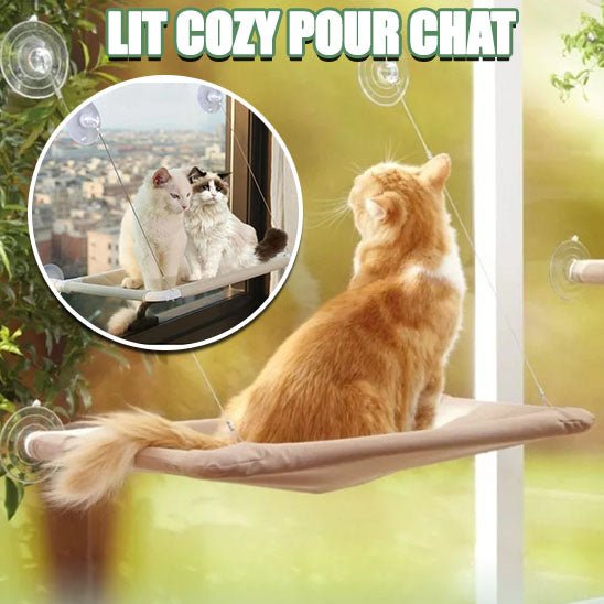 Hamac chat - chatoutmimi