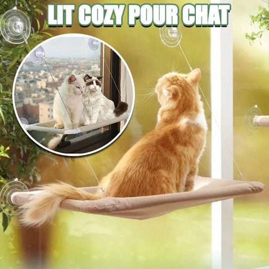 Hamac chat - chatoutmimi