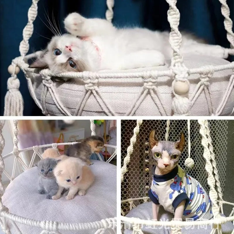 hamac chat confort