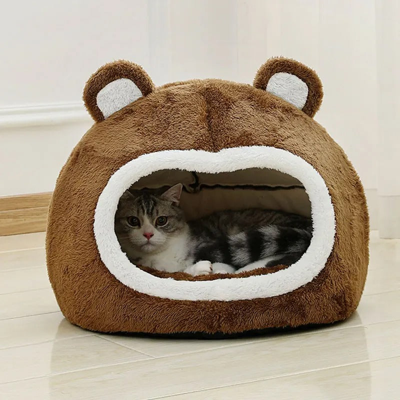 Maison chat refuge