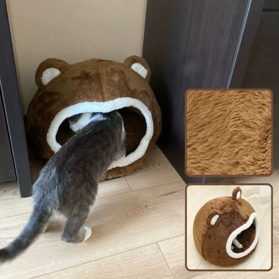 Maison chat refuge