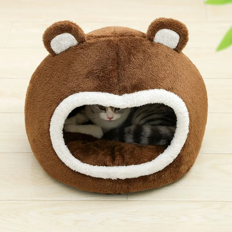 Maison chat refuge