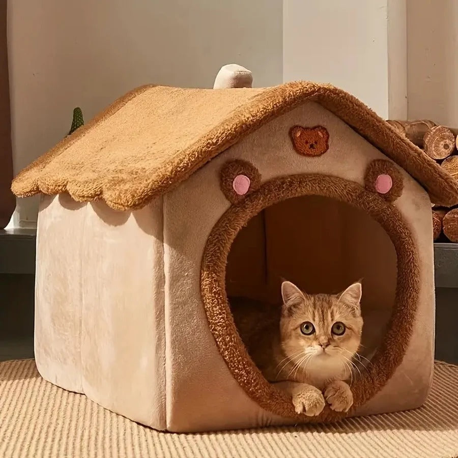 Maison chat