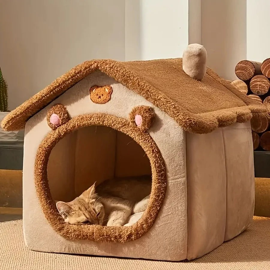 Maison chat