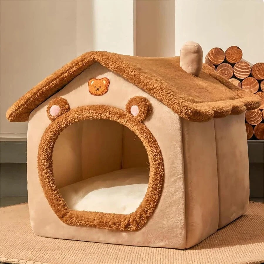 Maison chat