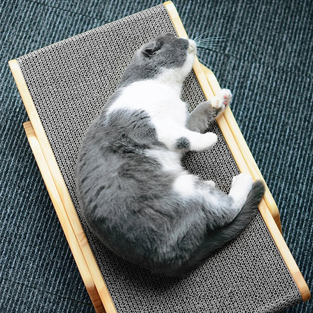 ScratcherCat™ - chatoutmimi
